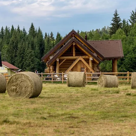 Amazing Home In Hlevci With Jacuzzi, Sauna And 2 Bedrooms Hlevci